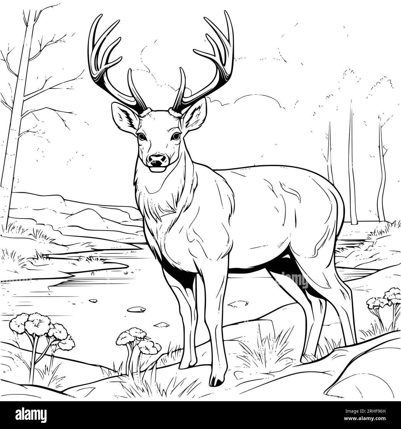 Big deer on the river bank coloring page drawing for kids stock vector image art