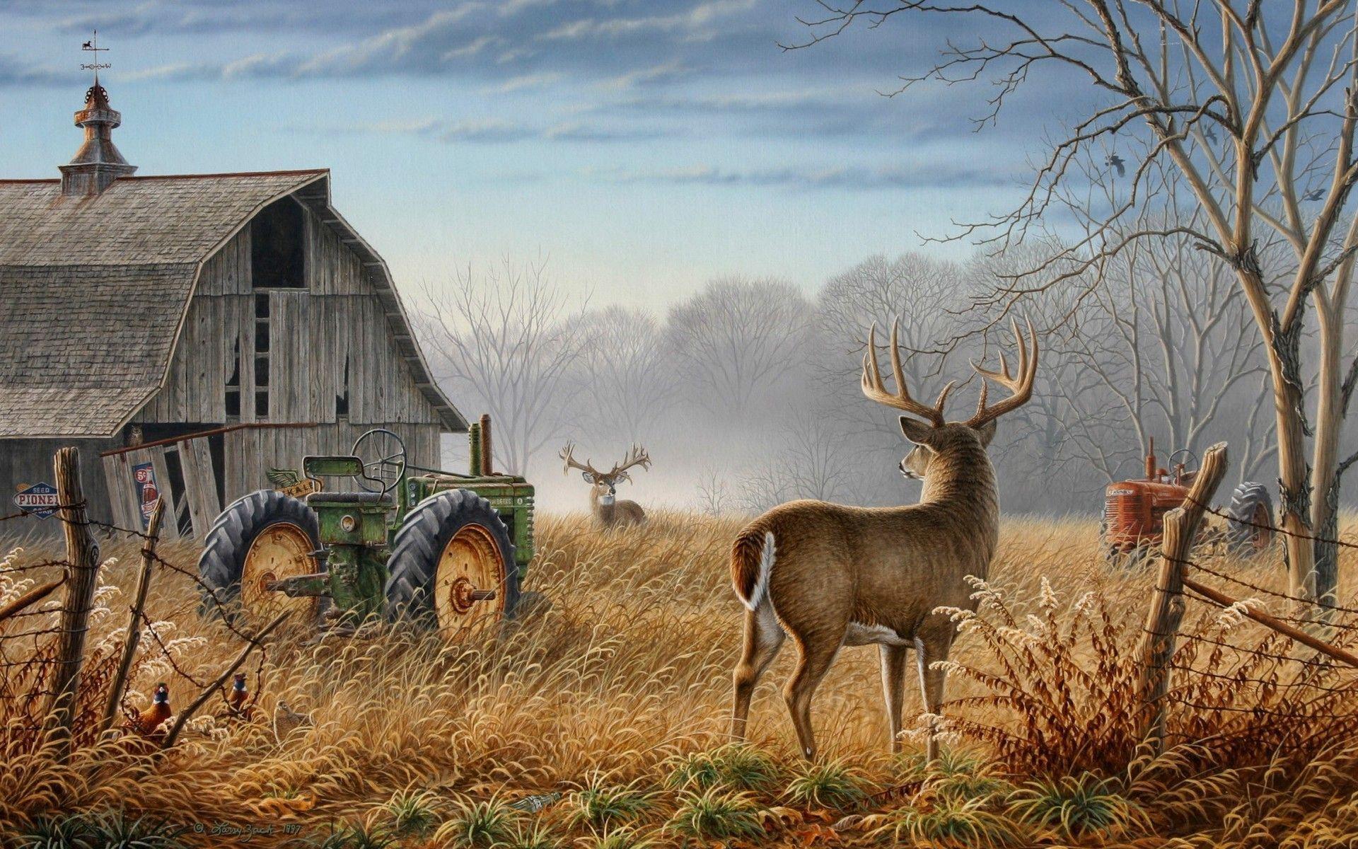 Deer hunting wallpapers