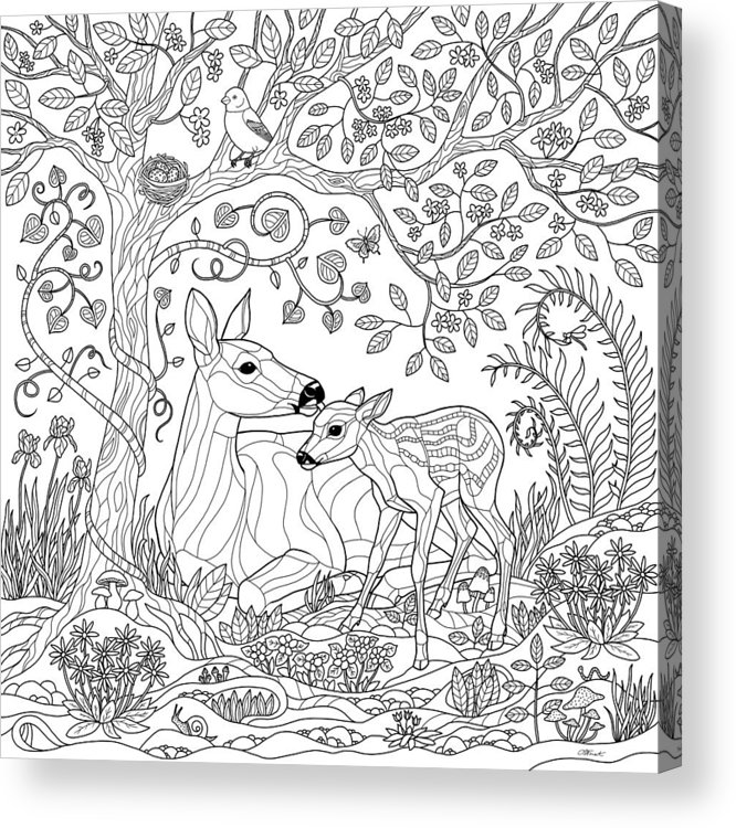 Deer fantasy forest coloring page acrylic print by crista forest