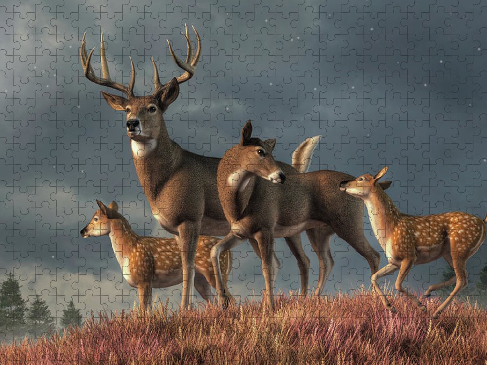 White tailed deer family jigsaw puzzle by daniel eskridge