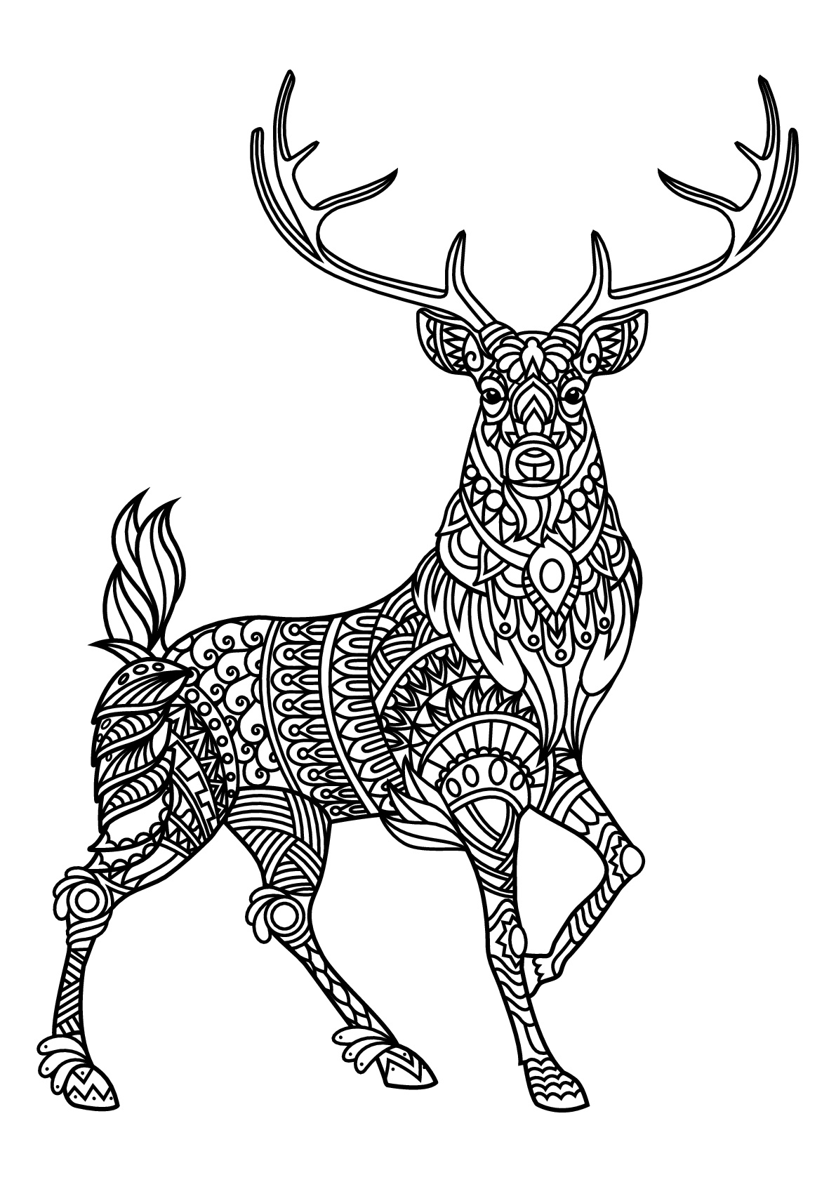 Free book deer