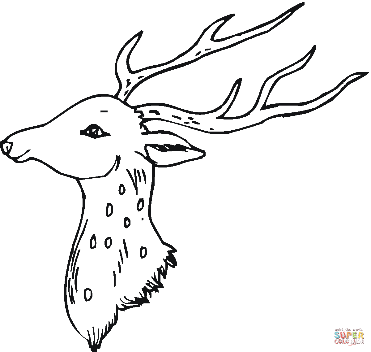 Head of deer coloring page free printable coloring pages