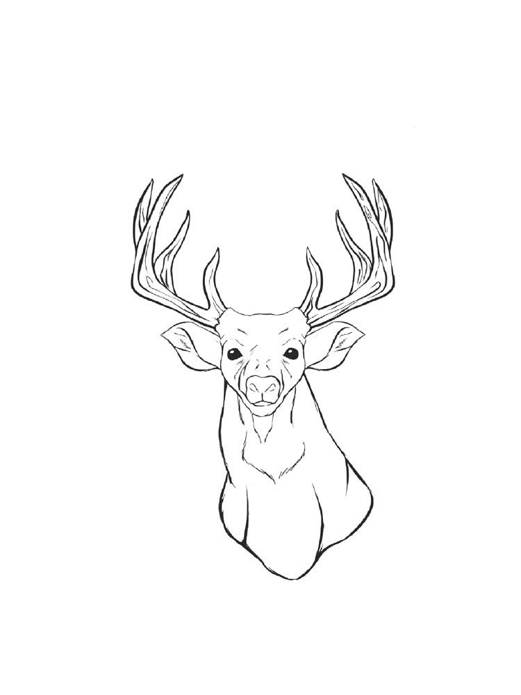 Deer head coloring pages animal coloring pages animals images coloring pages