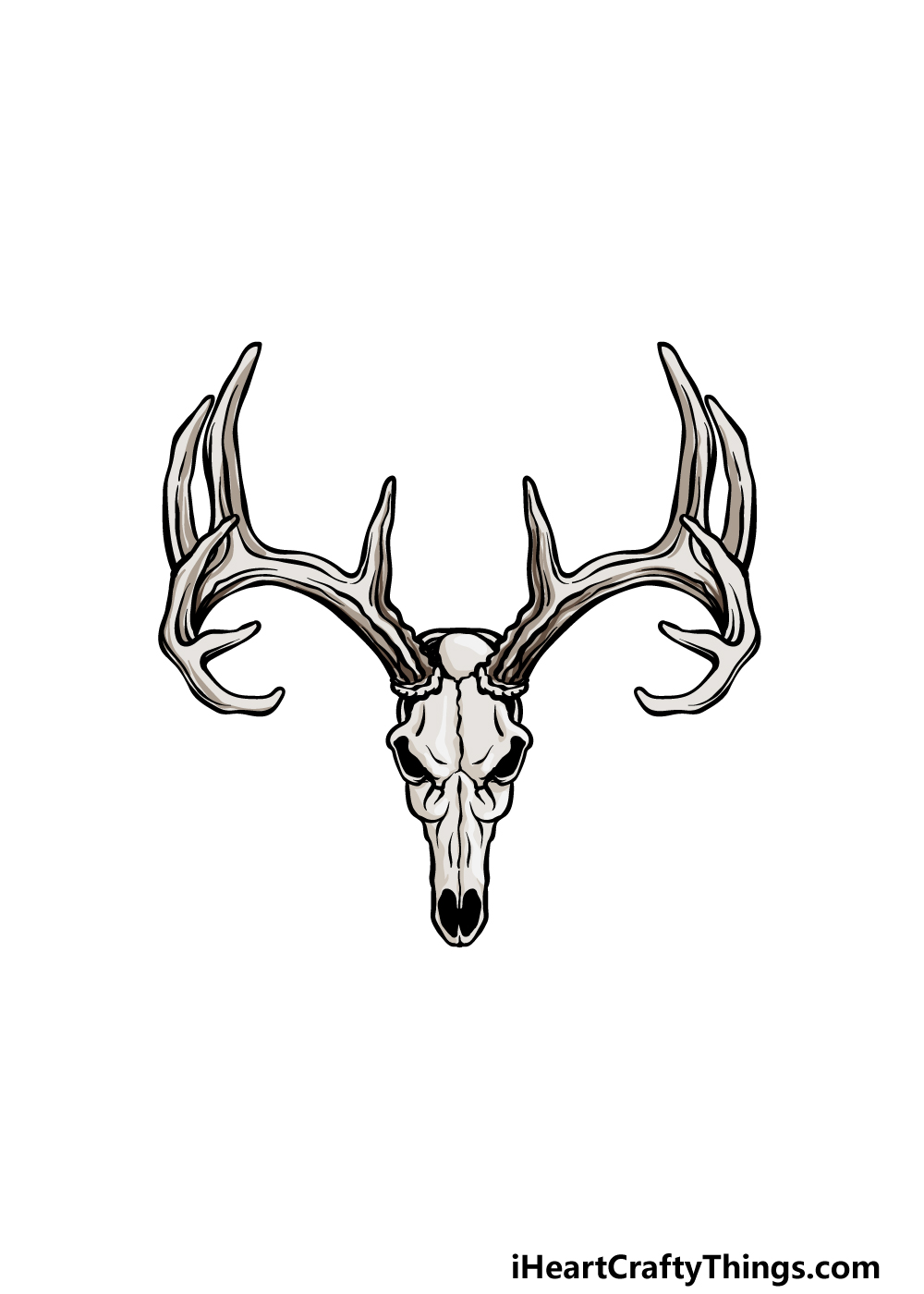 Deer skull drawing