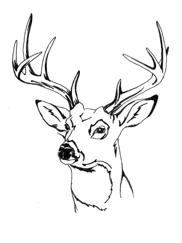 Deer head coloring page