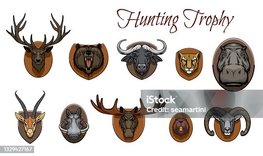 Deer head wall stock illustrations royalty