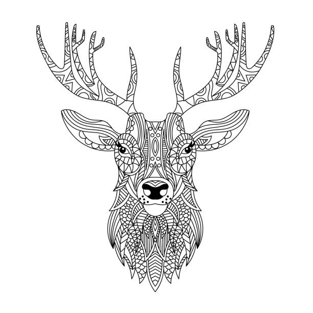 Deer head wall stock illustrations royalty