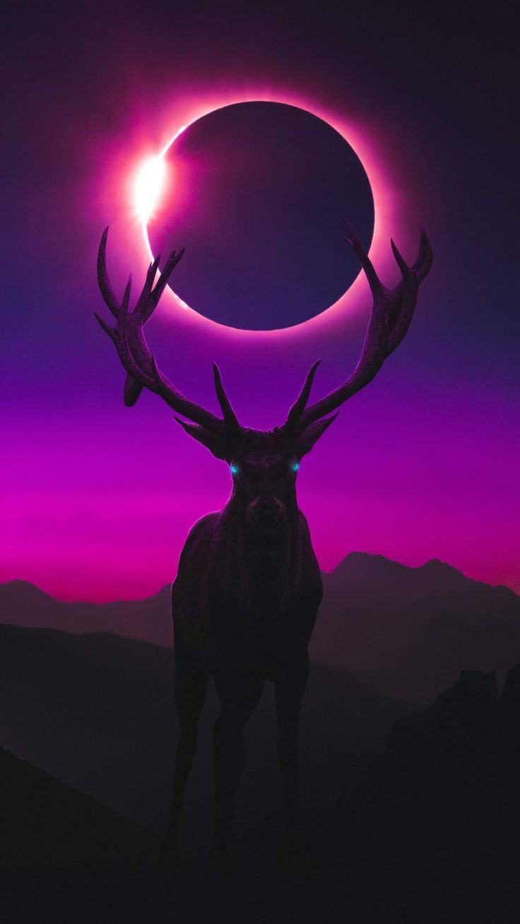 Download Free 100 + deer wallpaper for android