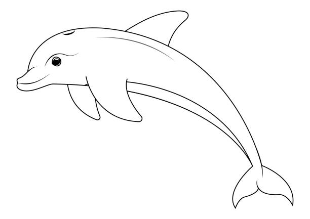 Dolphin coloring page stock illustrations royalty