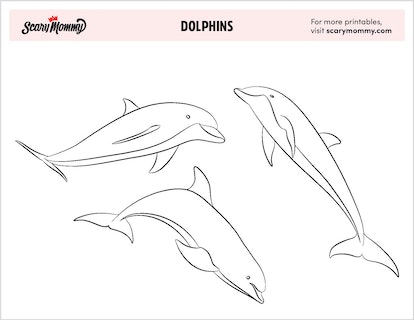 Dolphin coloring pages for kiddos to dive into