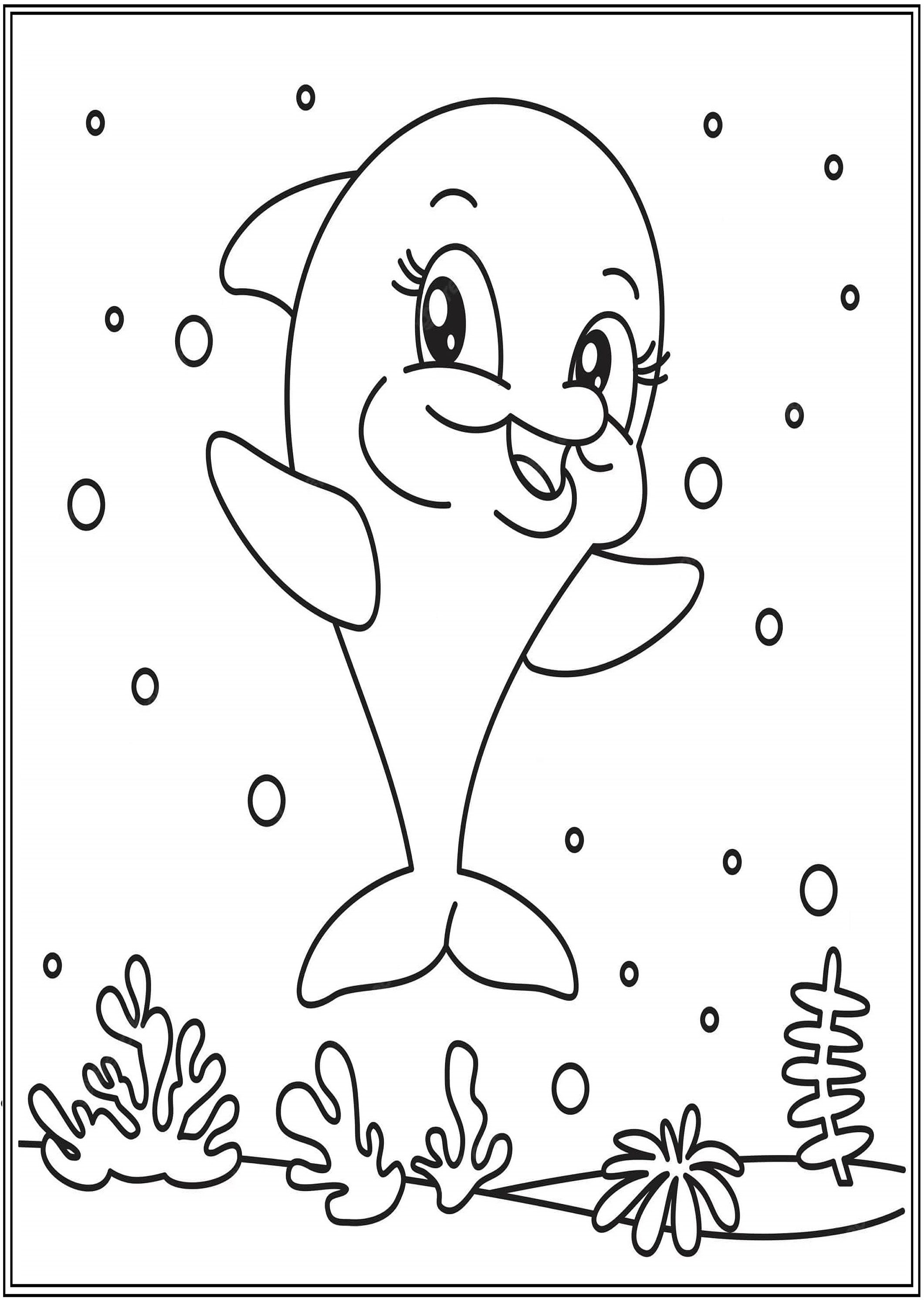 Dolphin sketch for kids download now