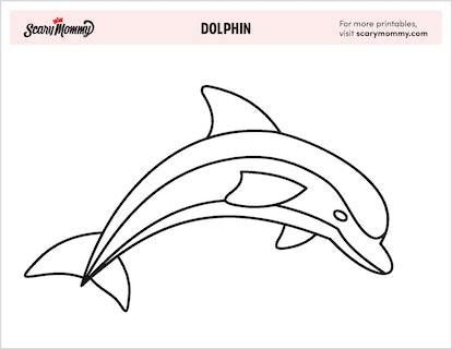 Dolphin coloring pages for kiddos to dive into