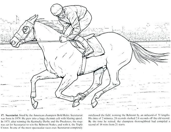 Beautiful horse coloring pages