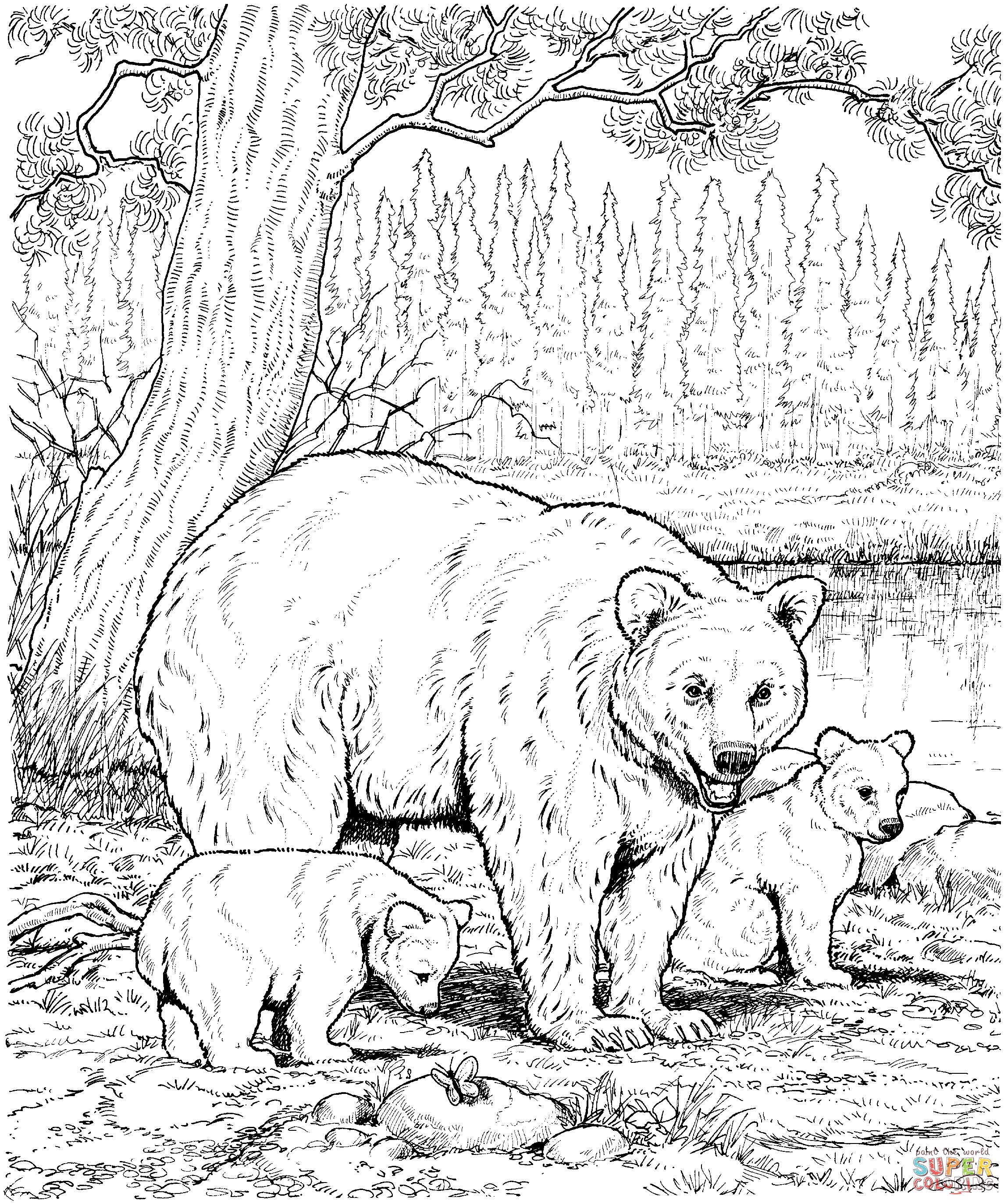 Desenho de famãlia de urso negro americano para colorir desenhos para colorir e imprimir gratis