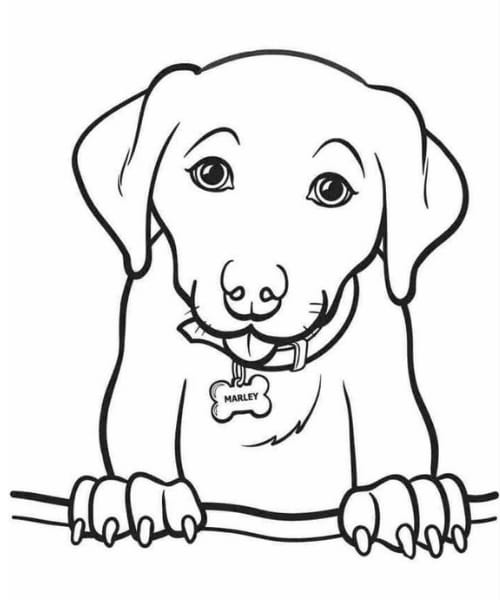 Cachorro fofo desenhos de cafã para colorir para crianãas desenhos para colorir kawaii animais