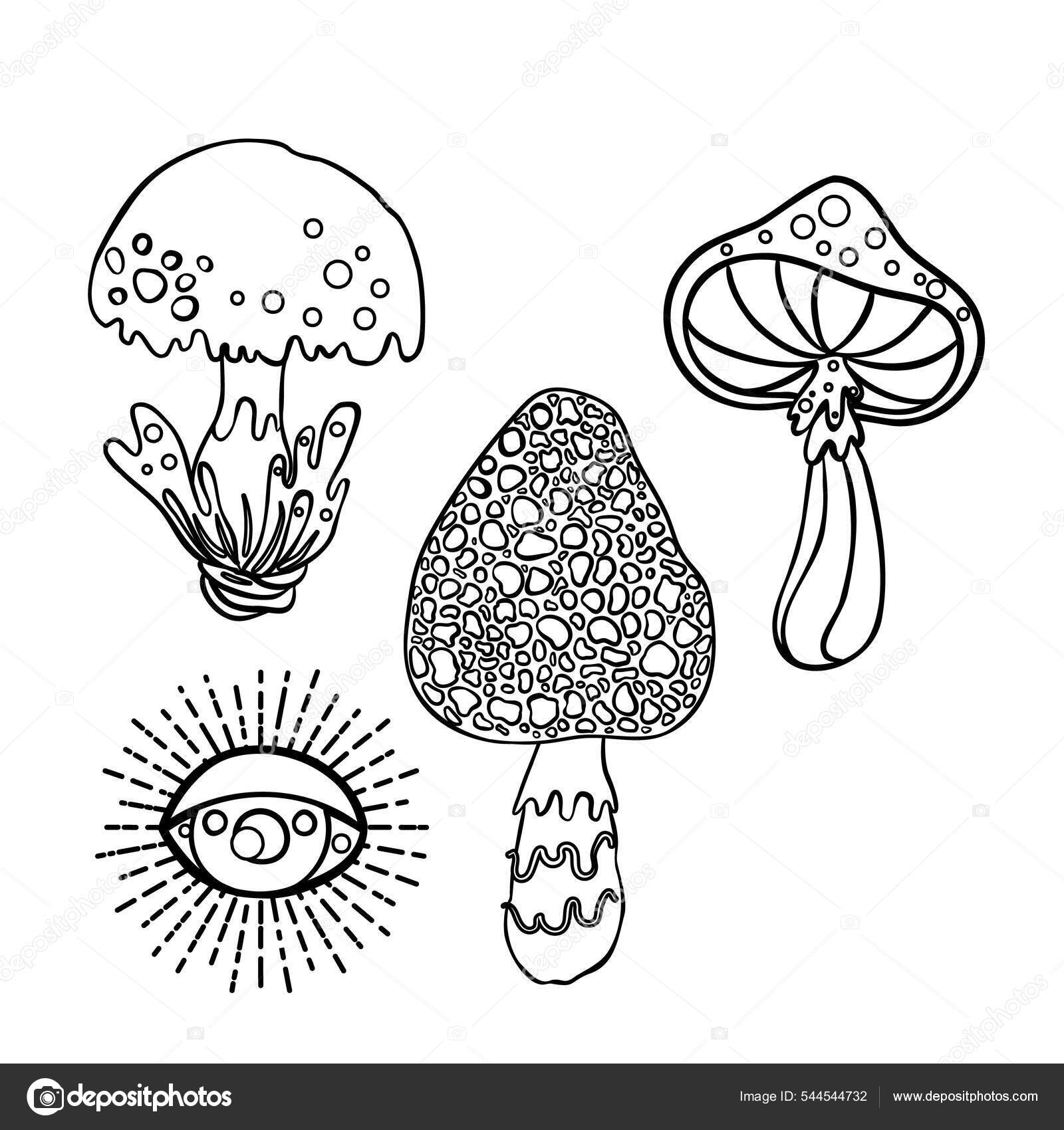 Cogumelos mãgicos alucinaãão psicadãlica desenho ilustraãão vetorial isolado em branco livro para colorir para crianãas e adultos imagem vetorial de vgorbash