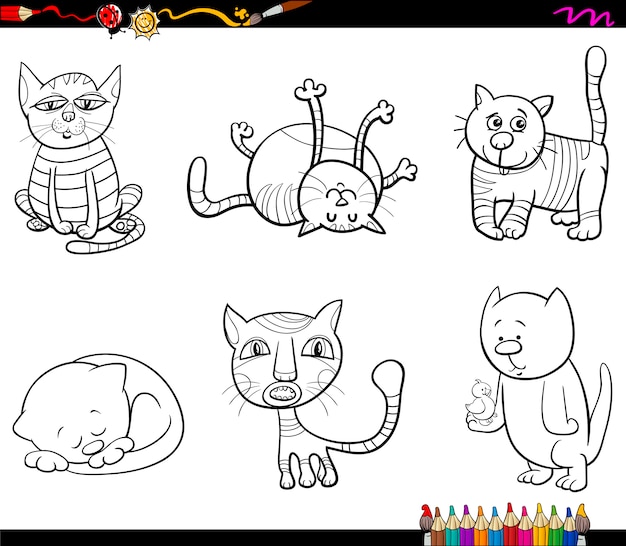 Meu livro de colorir sobre gatos desenhos para colorir de animais paisagens e personagens crianãas de a anos portuguese edition crb ediãão libros gatos desenhos para colorir