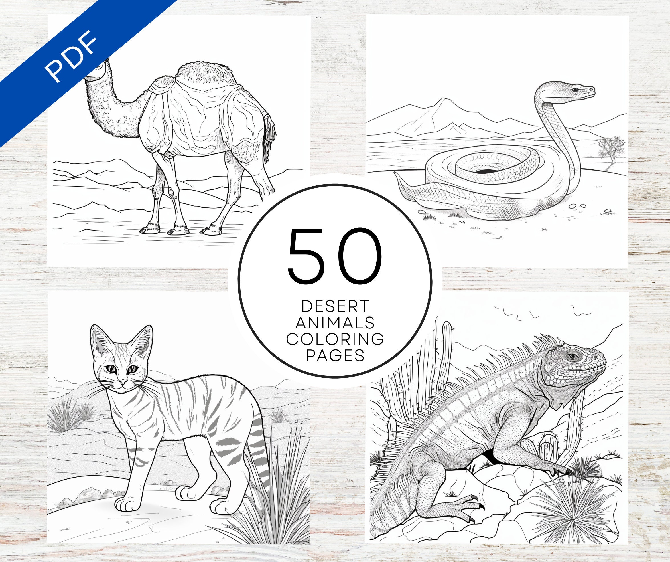 Kdp interior desert animals coloring pages x printable pdf adult kids coloring book mercial use activity book