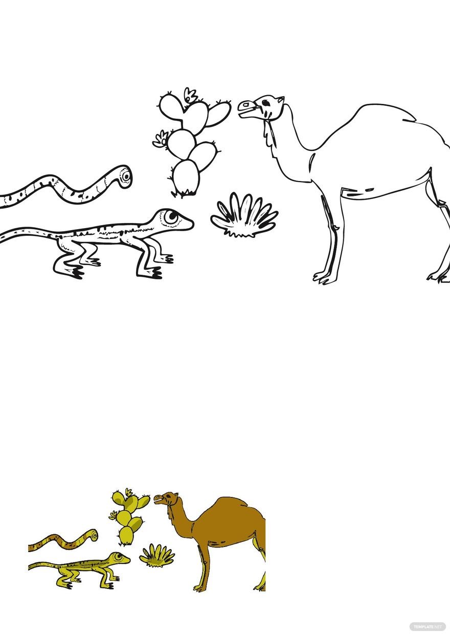 Free desert animals coloring pages