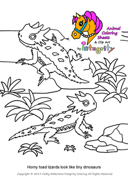 Desert animals coloring pages