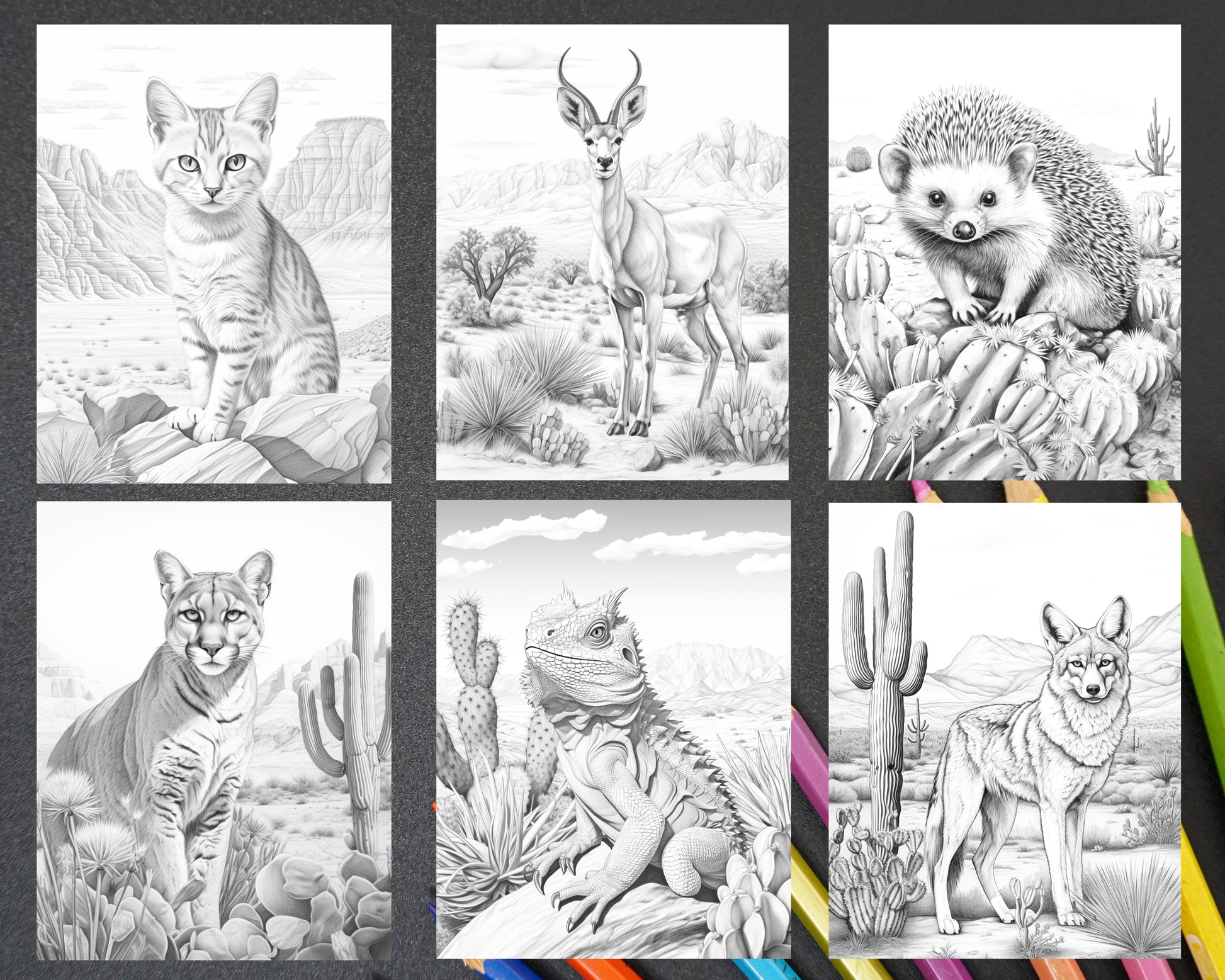 Desert animals grayscale coloring pages printable for adults pdf f â coloring