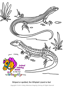 Desert animals coloring pages