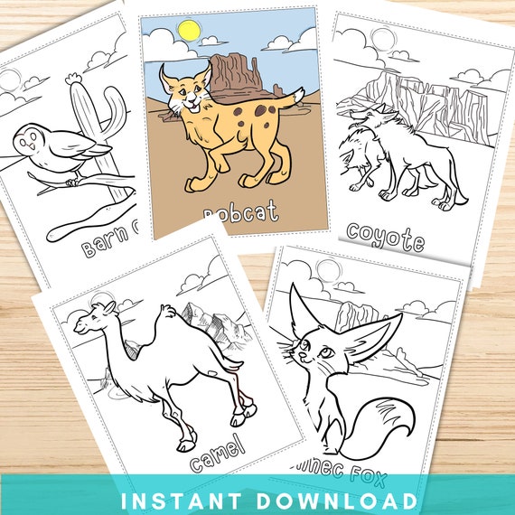 Desert animals coloring pages printable animal coloring