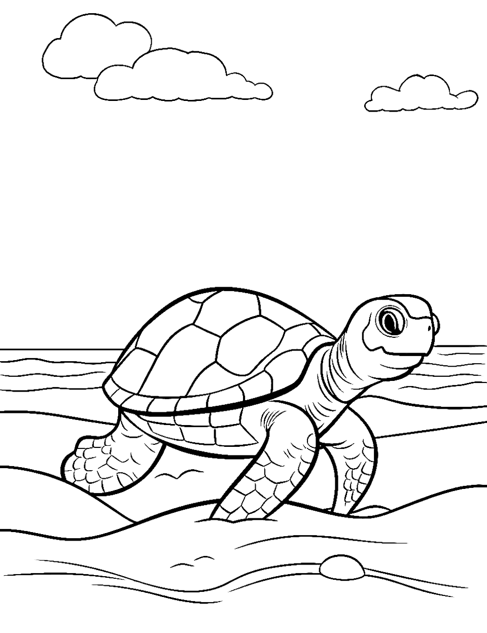 Turtle coloring pages free printable sheets