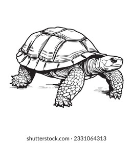 Coloring page simple black white turtle stock vector royalty free