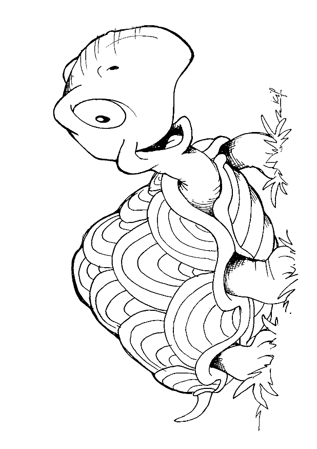 Desert tortoise coloring page