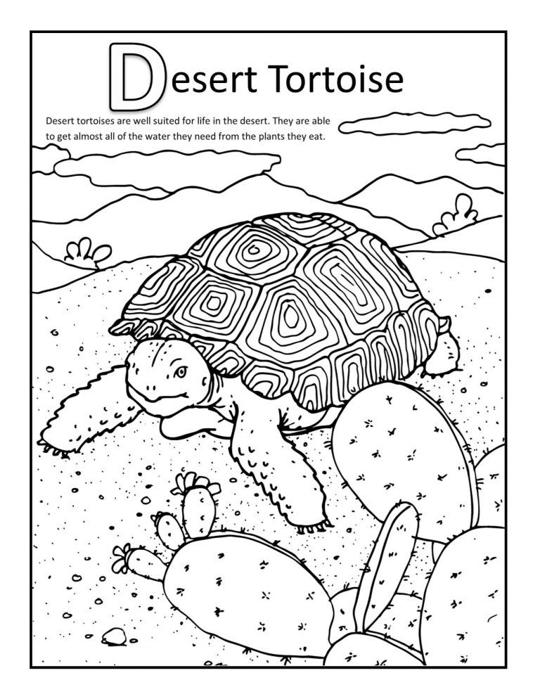 Desert coloring pages