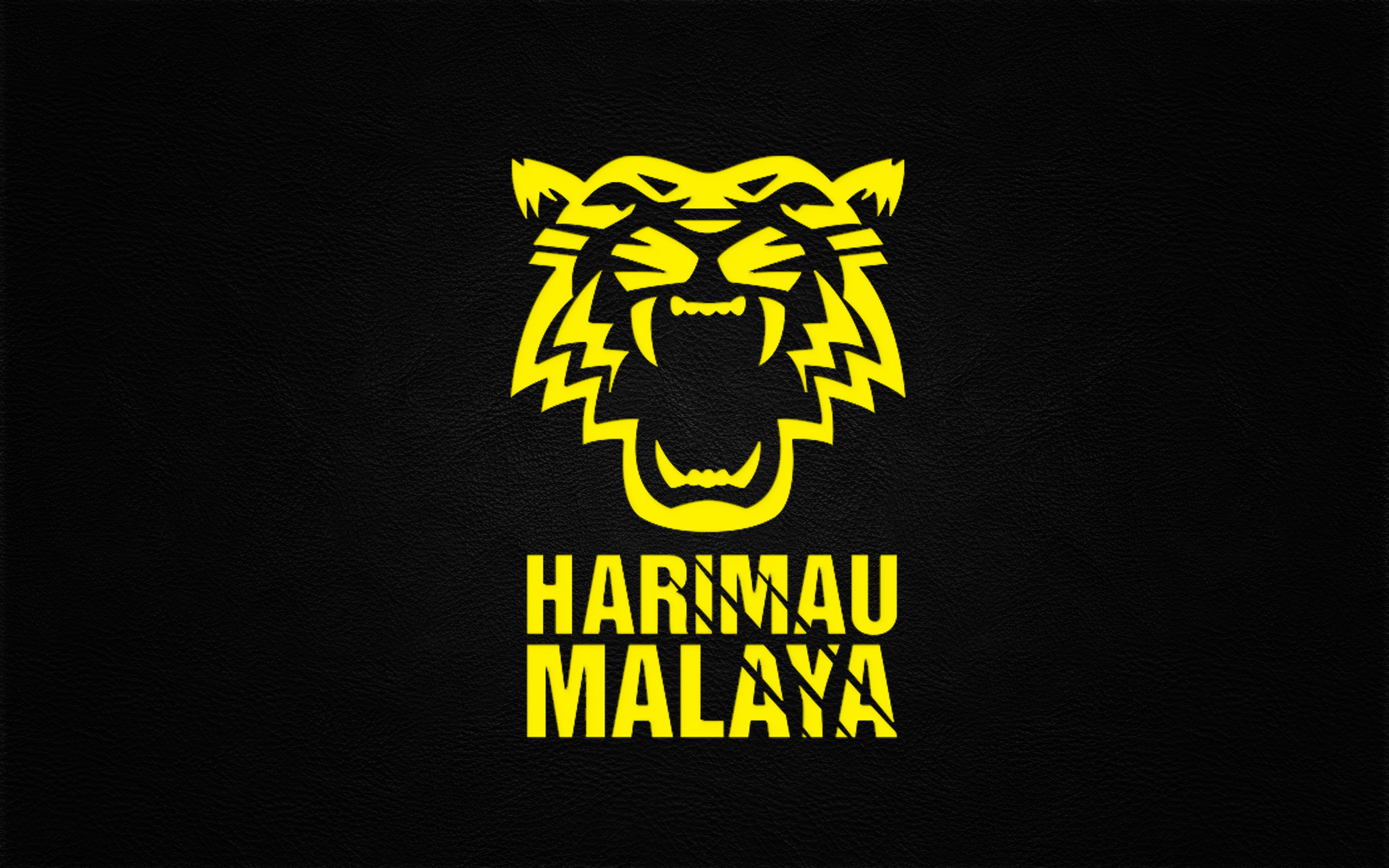 Malaysia national football team hd papers und hintergrãnde