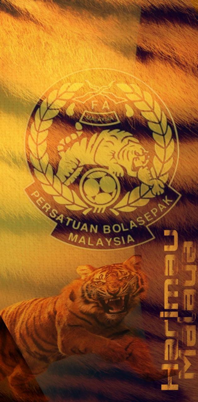 Harimau malaya wallpaper by nikfizi