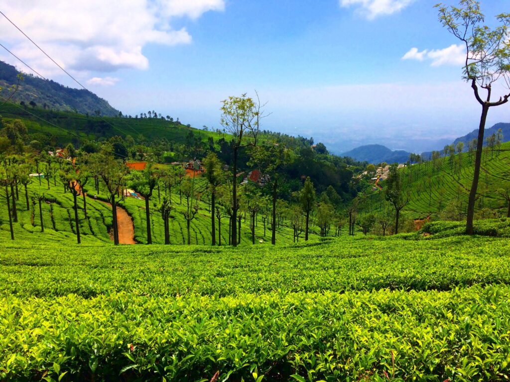 Ooty how to visit top tourist places