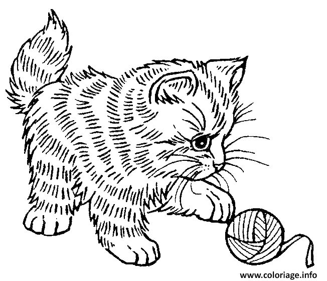 Coloriage adorable chat qui joue ã imprimer coloriage chat ã imprimer coloriage chaton coloriage chat