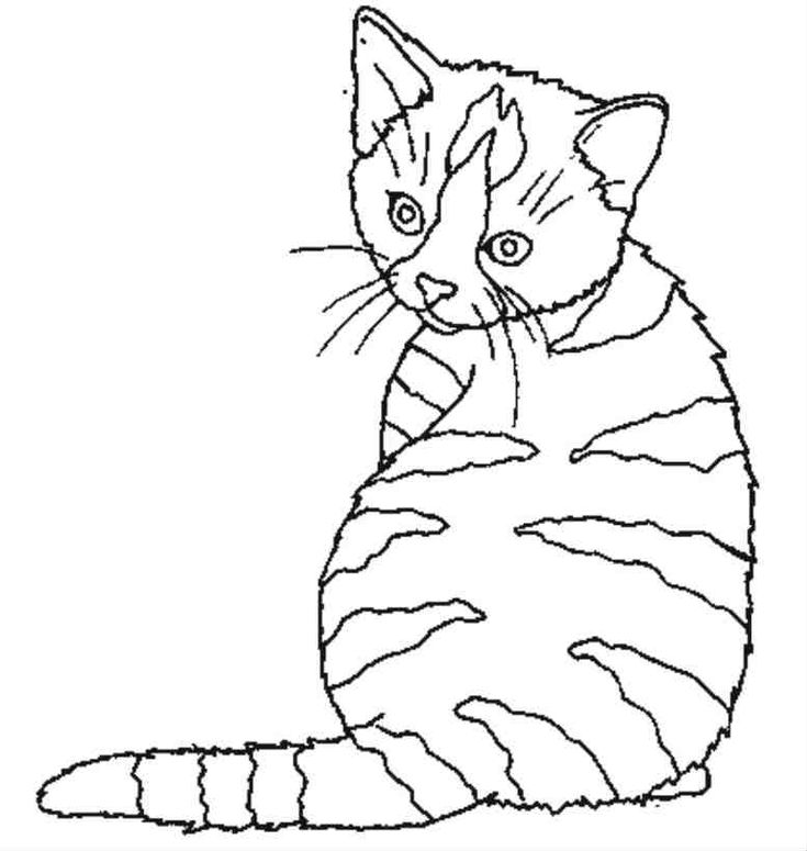 Dessin chat coloriage coloriage chat chat a colorier coloriage chat ã imprimer