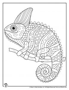 Animal coloring pages for adults teens woo jr kids activities childrens publishing