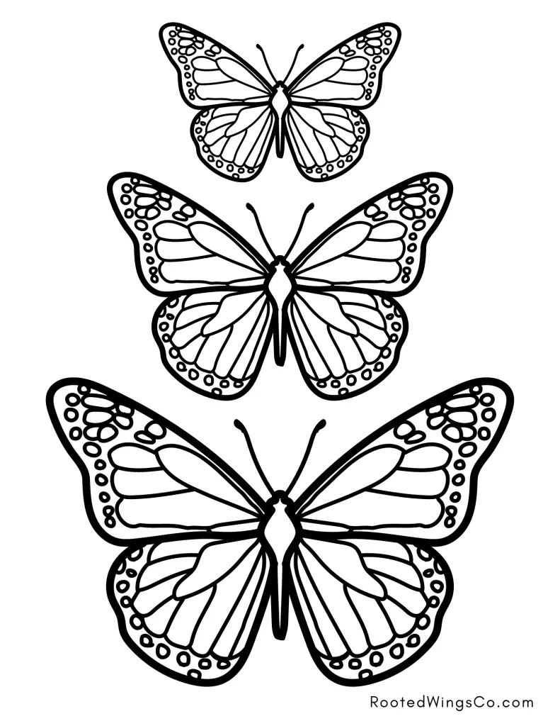 Free butterfly coloring pages