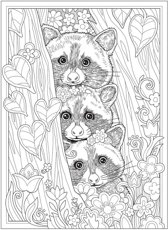 Wele to dover publications detailed coloring pages cute coloring pages cool coloring pages