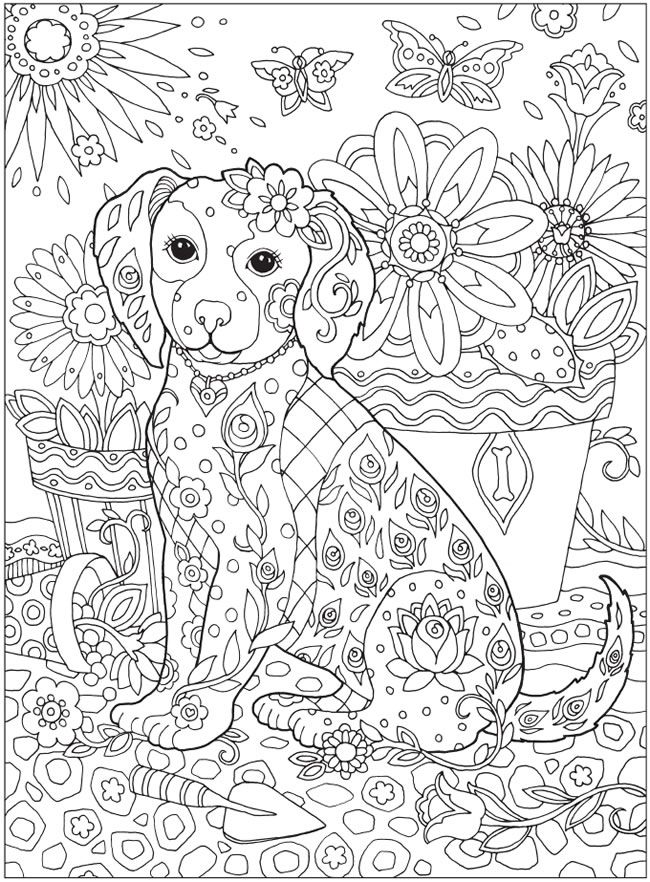 Wele to dover publications dog coloring book detailed coloring pages animal coloring pages