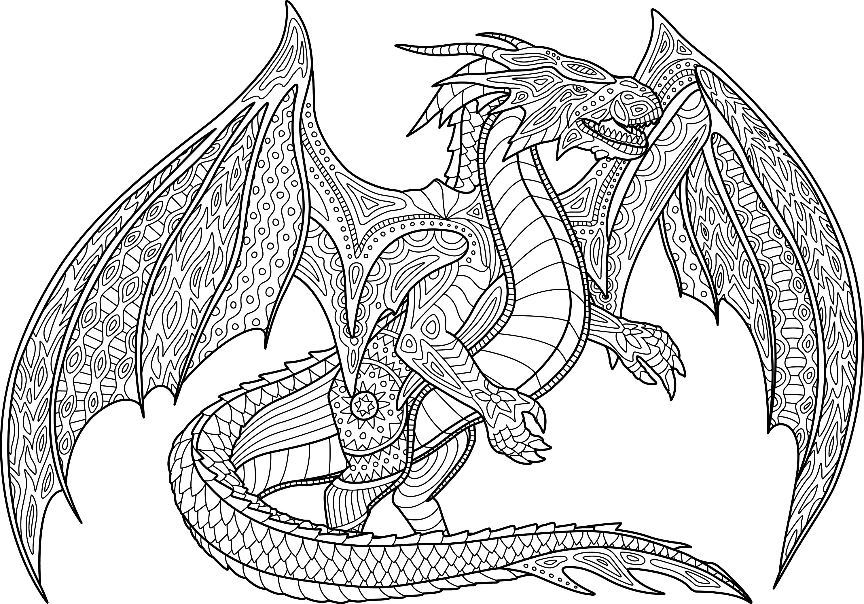 Dragon digital printable coloring page medium difficulty