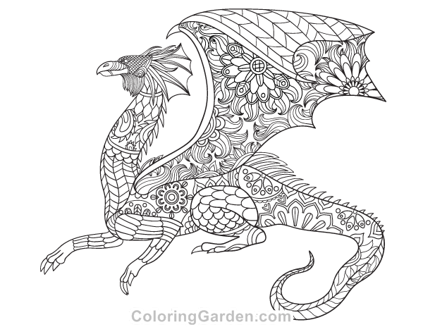 Dragon adult coloring page