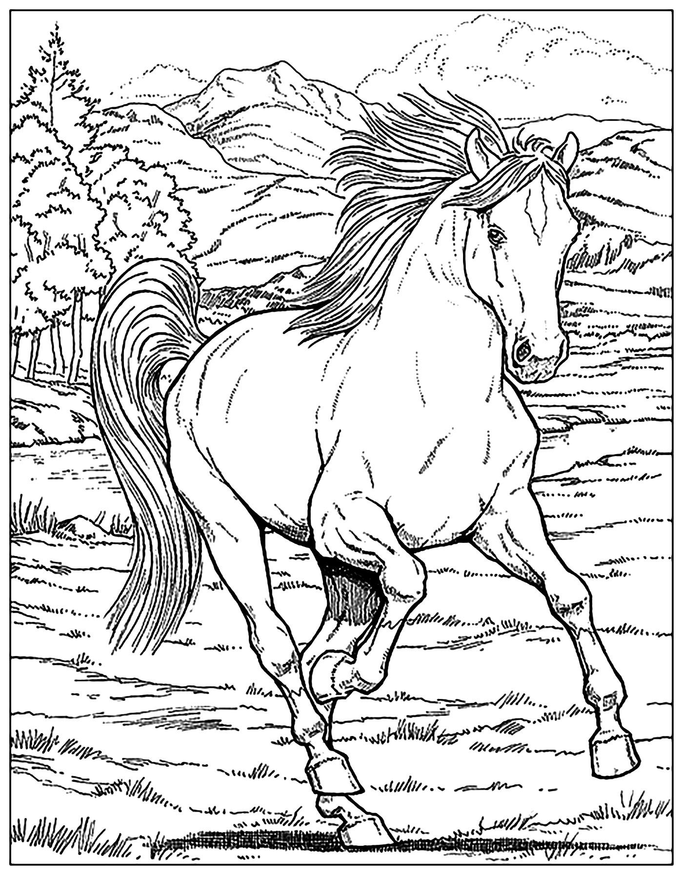 Free horse coloring pages for adults kids