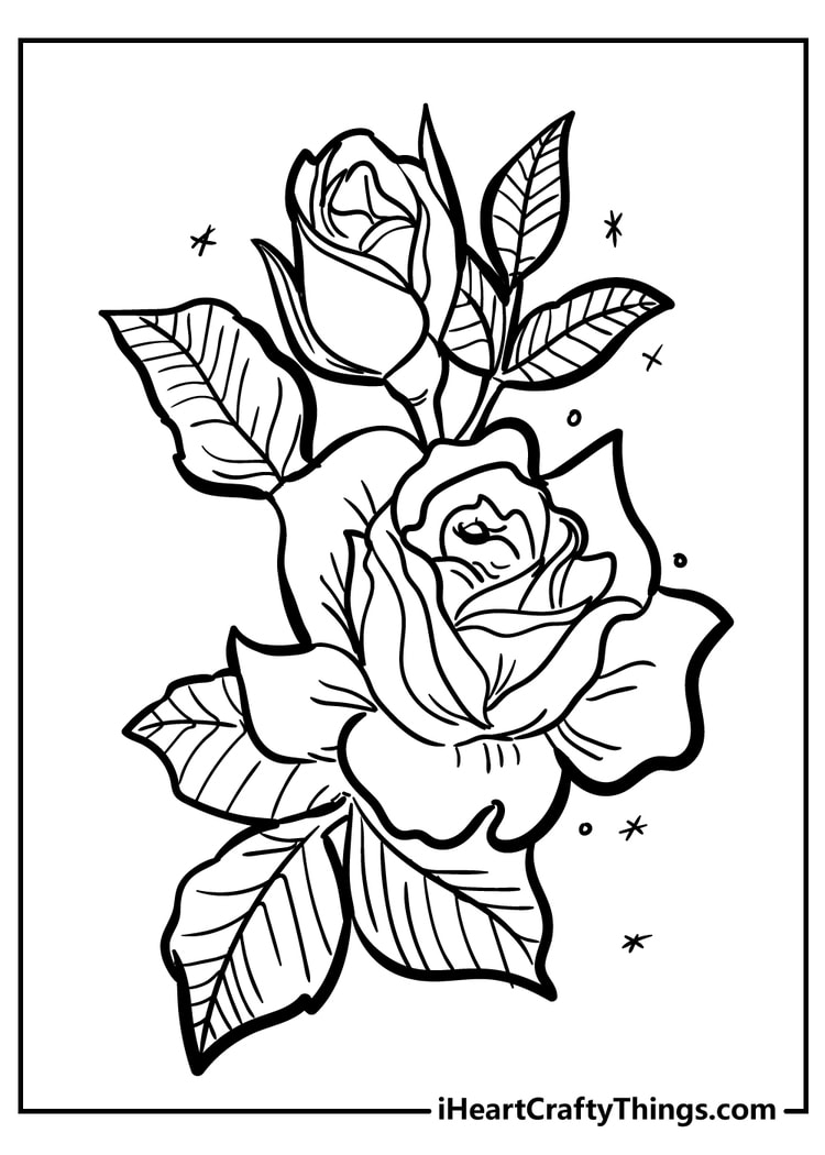 Rose coloring pages free printables