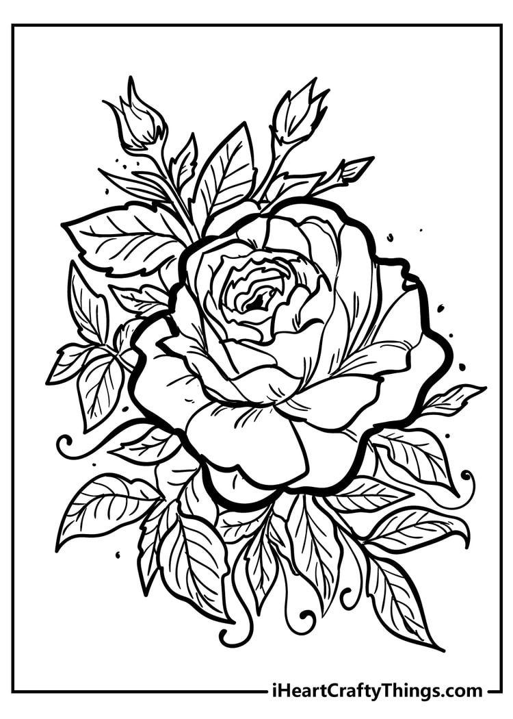 Original rose coloring pages rose coloring pages coloring pages free printable coloring pages