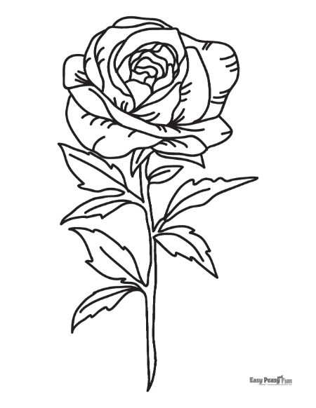 Printable rose coloring pages