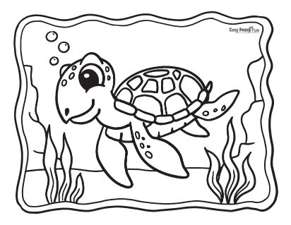 Turtle coloring pages