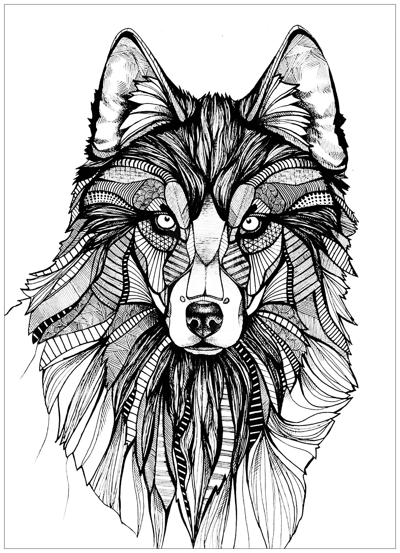 Wolf coloring pages for adults