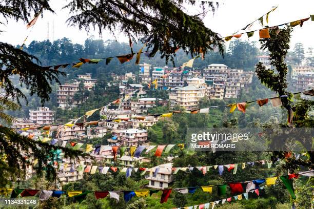 Dharamsala photos and premium high res pictures