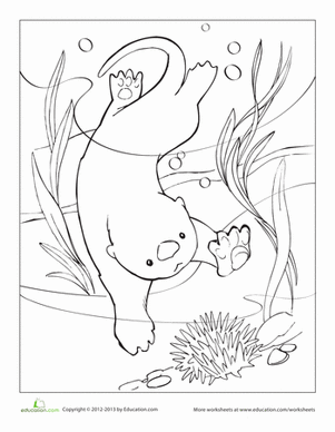 Sea otter coloring page animal coloring pages otters free coloring pages